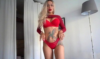 Мужчина встретился с татуированной девушкой у себя дома и они провели приятное время вместе.
